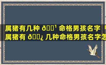 属猪有几种 🌹 命格男孩名字「属猪有 🌿 几种命格男孩名字怎么取」